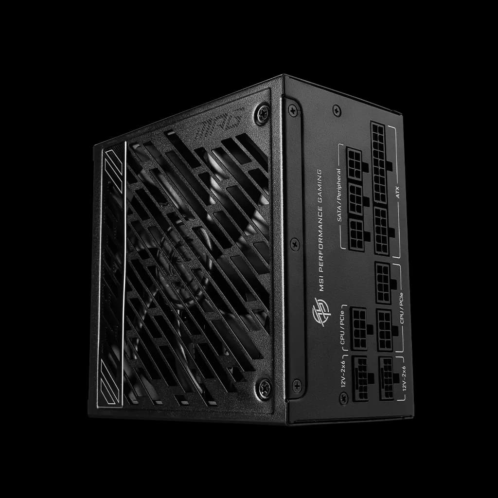 MSI - ATX 1000W - 80+ Gold - MPG A1000GS PCIE5 Noir